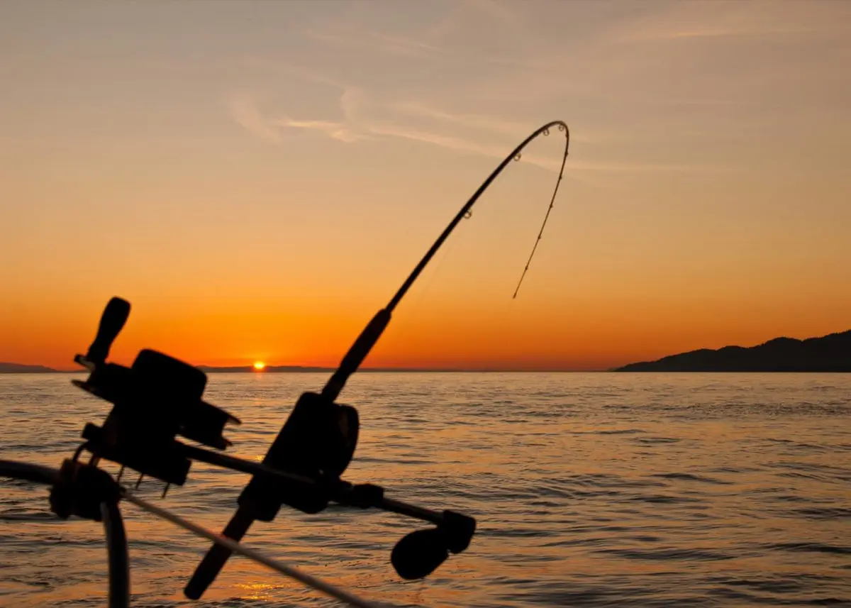 Samaki Aquacare story and business journey